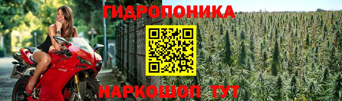 Конопля OG Kush  Бошки марихуана Bruce Banner  Марихуана семена  Вход с VPN  Шарыпово 